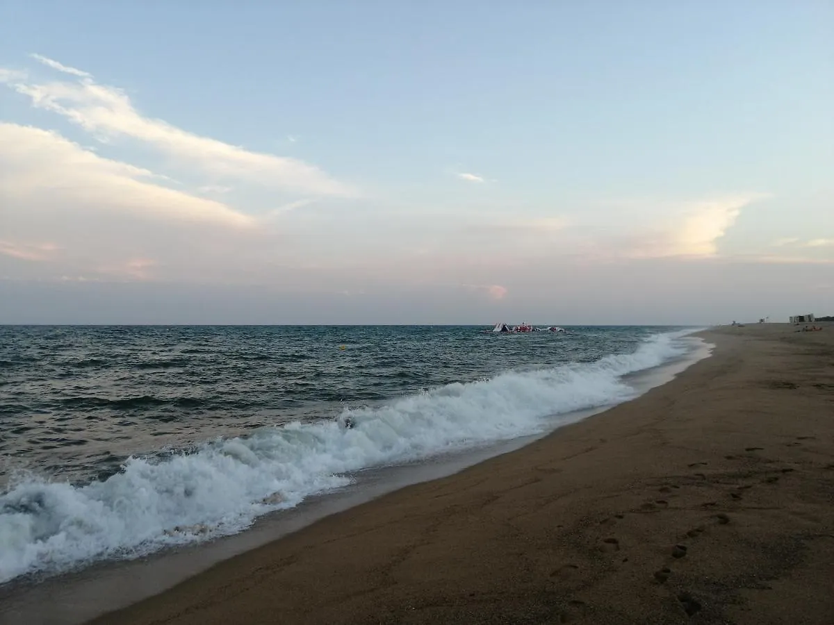 公寓 Santa Susanna Sea Dreams Appartement - Bord De Mer 马尔格莱特德玛 西班牙